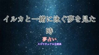 夢占い-イルカと一緒に泳ぐ