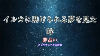 夢占い-イルカに助けられる