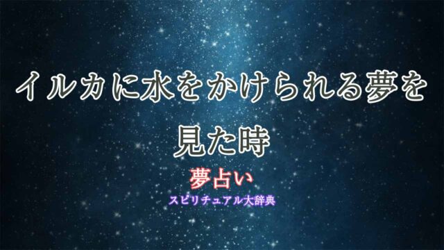 夢占い-イルカに水をかけられる