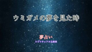 夢占い-ウミガメ-たくさん