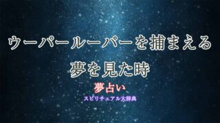 夢占い-ウーパールーパー-捕まえる