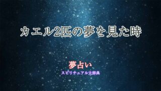 夢占い-カエル2匹