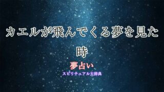 夢占い-カエルが飛んでくる