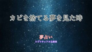 夢占い-カビ-捨てる