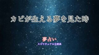 夢占い-カビが生える