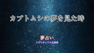 夢占い-カブトムシ-幼虫