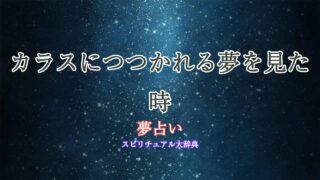 夢占い-カラス-つつかれる