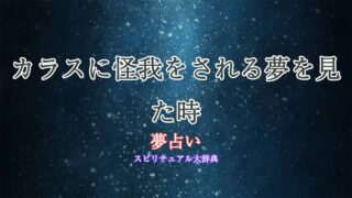 夢占い-カラス-怪我