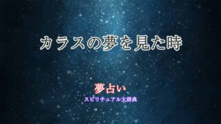 夢占い-カラス-白い