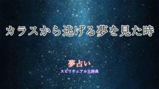 夢占い-カラスから逃げる