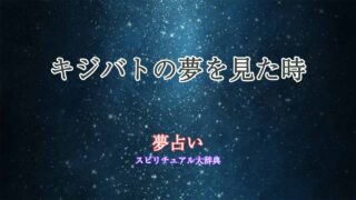夢占い-キジバト
