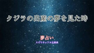 夢占い-クジラの出産