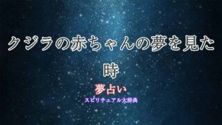 夢占い-クジラの赤ちゃん