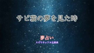 夢占い-サビ猫