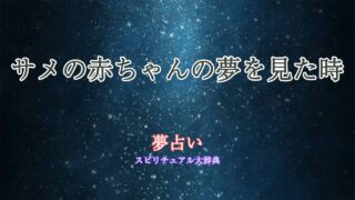 夢占い-サメの赤ちゃん
