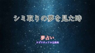 夢占い-シミ取り