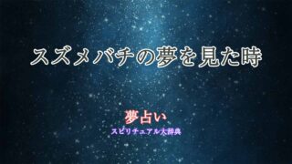 夢占い-スズメバチを見る