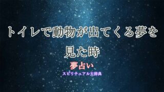 夢占い-トイレ-動物