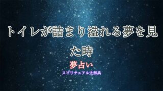 夢占い-トイレ-詰まる-溢れる