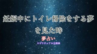 夢占い-トイレ掃除-妊娠