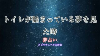 夢占い-トイレ詰まってる