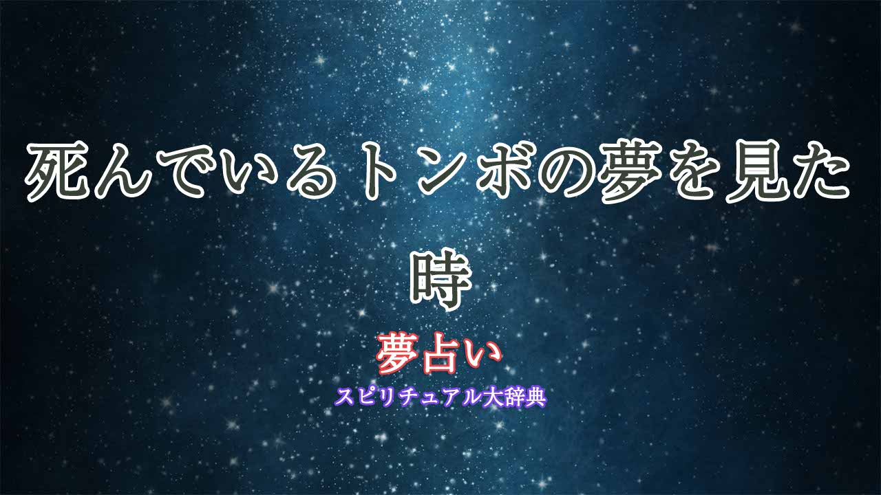 夢占い-トンボ-死んでる