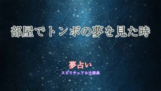 夢占い-トンボ-部屋