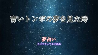 夢占い-トンボ-青い