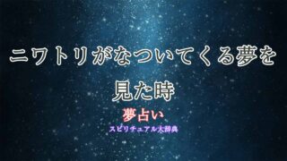 夢占い-ニワトリ-なつく