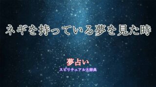 夢占い-ネギ持ち