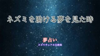 夢占い-ネズミを助ける