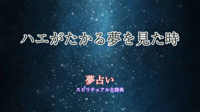 夢占い-ハエがたかる