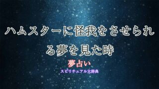 夢占い-ハムスター-怪我