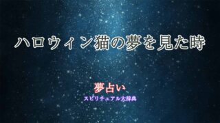 夢占い-ハロウィン猫