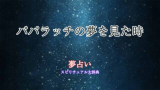 夢占い-パパラッチ