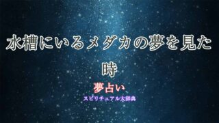 夢占い-メダカ-水槽