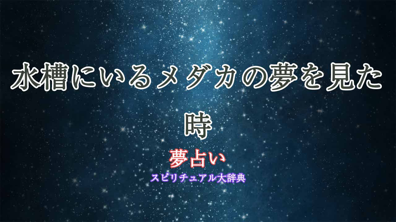 夢占い-メダカ-水槽