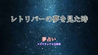 夢占い-レトリバー