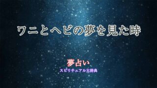 夢占い-ワニ-ヘビ