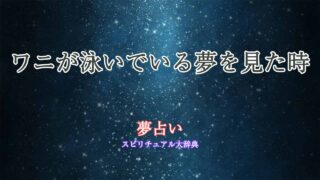 夢占い-ワニ-泳ぐ