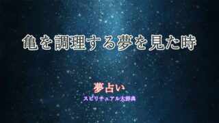 夢占い-亀-調理