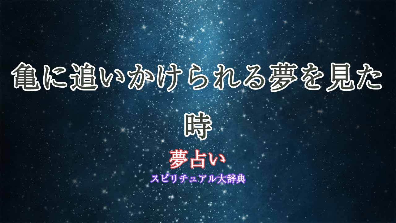 夢占い-亀-追いかけられる