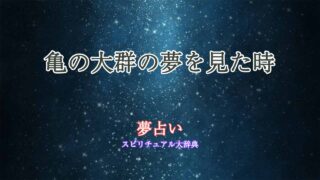 夢占い-亀の大群