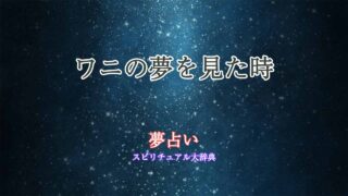 夢占い-動物園-ワニ