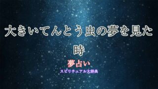 夢占い-大きいてんとう虫