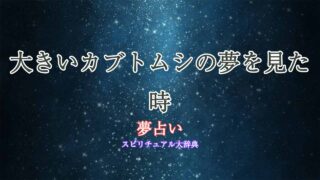 夢占い-大きいカブトムシ