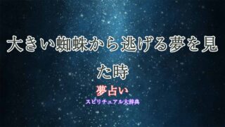 夢占い-大きい蜘蛛から逃げる