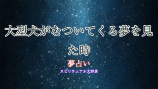夢占い-大型犬なつく