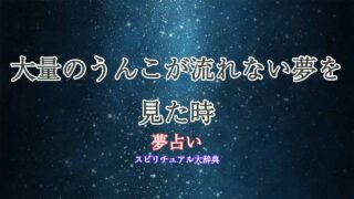 夢占い-大量のうんこ-流れない