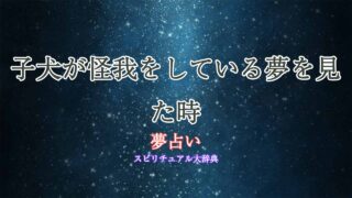 夢占い-子犬-怪我